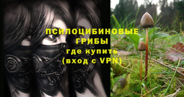 бошки Куйбышев
