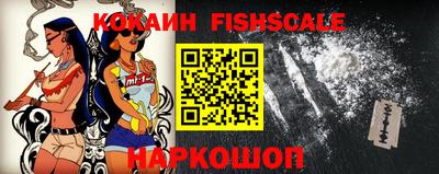 a pvp Камышлов