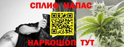 a pvp Камышлов