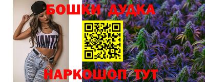 a pvp Камышлов