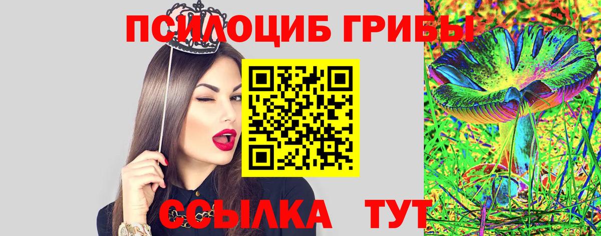 Галлюциногенные грибы Cubensis  Вход с VPN  Красный Сулин 